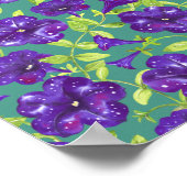 Poster Ciel nocturne Petunia sur oreiller à lancer arrièr (Coin)