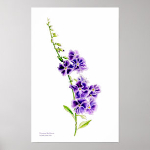 Poster Ciel pourpre fleur botanique art par Sarah Trett