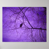 Poster Ciel Violet Corbeau Noir (Devant)