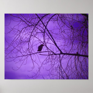 Poster Ciel Violet Corbeau Noir