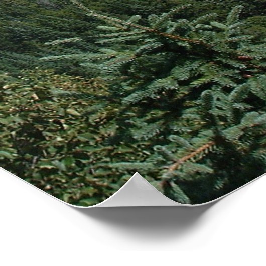 Poster Ciels bleus (Coin)