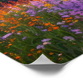 Poster Ciels colorés (Coin)