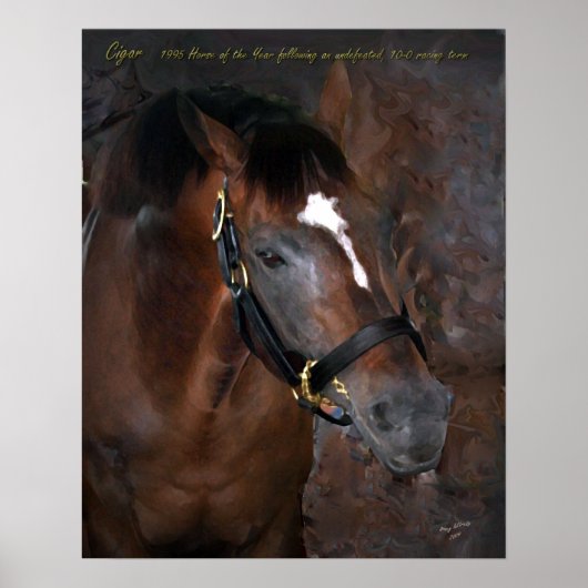 Poster Cigar (Devant)