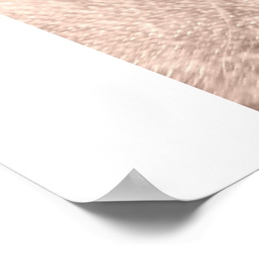 Poster Cigar II (Coin)