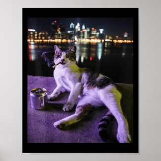 Poster Cigarette Kitten Drôle Fumer Chat Mème Bra Stupide