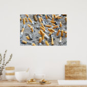 Poster Cigarettes dans cendrier extérieur (Cuisine)