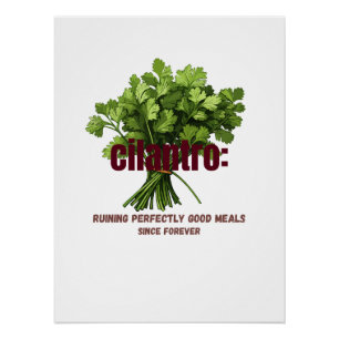 Poster Cilantro - Ruining Parfaitement Bon Repas