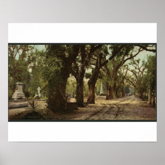 Poster Cimetière Bonaventure, Savannah, Géorgie vers 1901