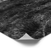 Poster cimetière calme (Coin)