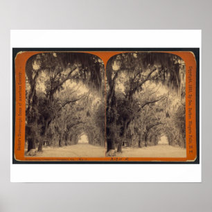 Poster Cimetière de Bonaventure, la savane, GA C. 1887