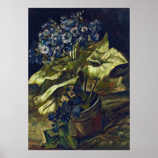 Poster Cineraria de Van Gogh dans un pot de fleurs (Devant)