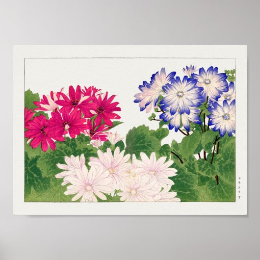 Poster Cineraria par Tanigami Konan (Devant)