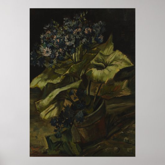 Poster Cineraria par Vincent Van Gogh (Devant)