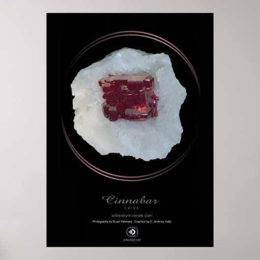 POSTER CINNABAR (Devant)