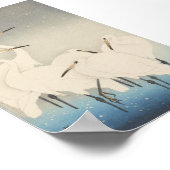 Poster Cinq aigrettes blanches (Coin)