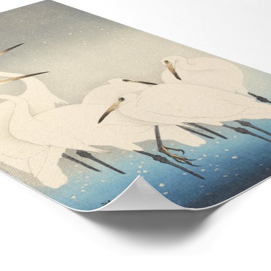 Poster Cinq aigrettes blanches (Coin)