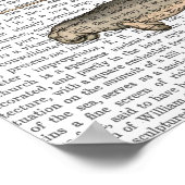 Poster Cinq baleines Vintages (Coin)