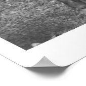 Poster Cinq femmes au ranch des mecs (Coin)