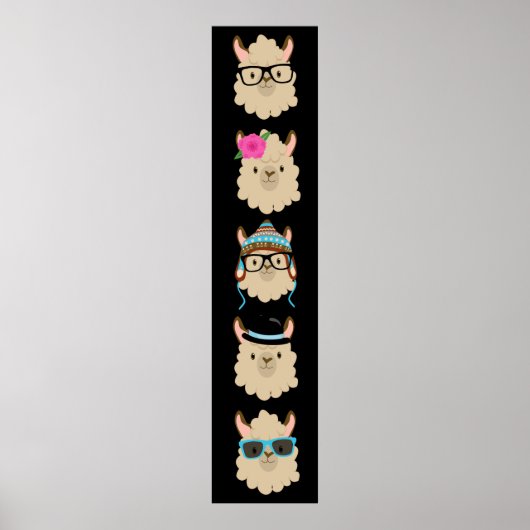 Poster Cinq lamas amusantes (Devant)