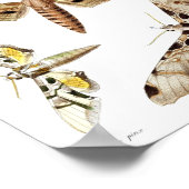 Poster Cinq mois de sphinx (Coin)