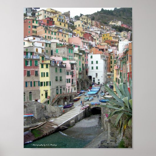 Poster Cinque Terre (port de Riomaggiore) (Devant)