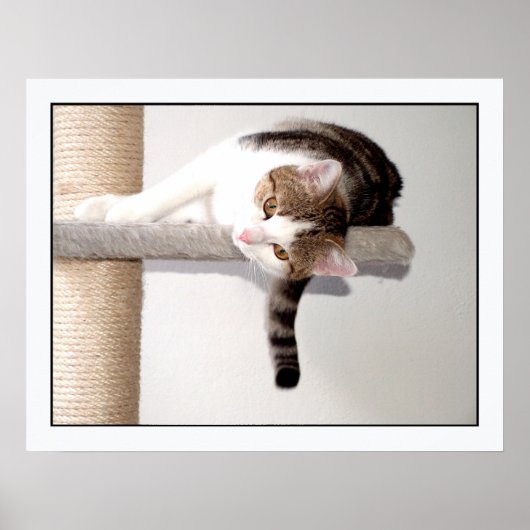 Poster cintre (Devant)