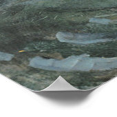 Poster Circe Invidiosa (Coin)