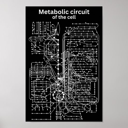 Poster Circuit métabolique de la cellule (Devant)