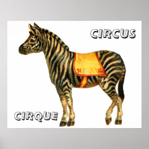 Poster cirque vintage exécutant zèbre