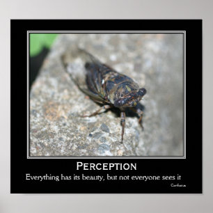 Poster Citation Confucius Beauté Cicada Motivational