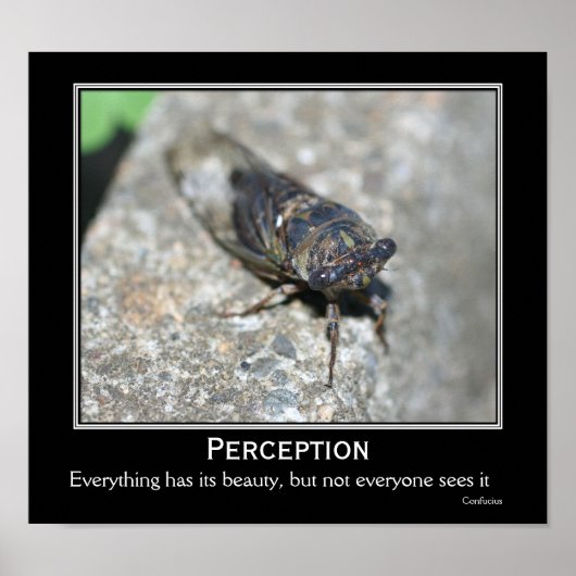 Poster Citation Confucius Beauté Cicada Motivational (Devant)