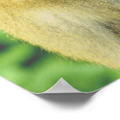 Poster Citation d'amitié par Vincent van Gogh (Coin)