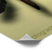 Poster Citation d'amour et de respect (Coin)