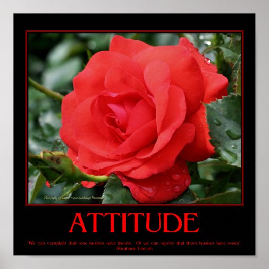 Poster Citation d'attitude inspirée de Red Roses Thorns (Devant)