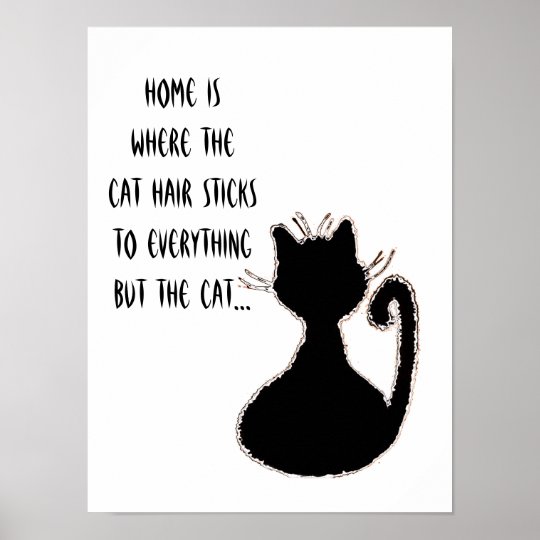 Poster Citation De Cheveux De Chats Amusants Cat Noir Sil Zazzle Be Poster Citation De Cheveux De Chats Amusants Cat Noir Sil Zazzle Be