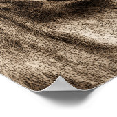 Poster Citation de confiance Lion Inspiration (Coin)