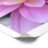 Poster Citation de Dahlia Rumi rose (Coin)