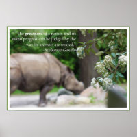 Citation de Gandhi, Traitez bien les animaux