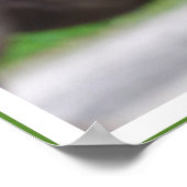 Poster Citation de Gandhi, Traitez bien les animaux (Coin)