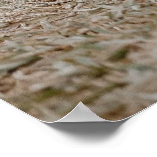 Poster Citation de Gratitude Aesop, singe (Coin)