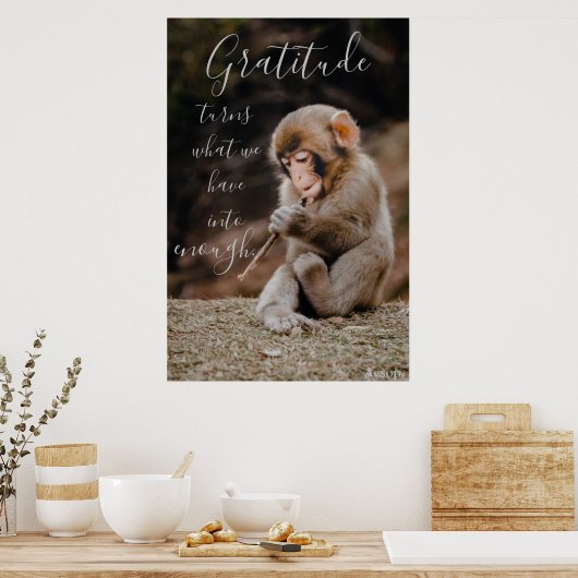 Poster Citation de Gratitude Aesop, singe (Cuisine)