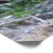 Poster Citation de Henry David Thoreau sur les droits des (Coin)