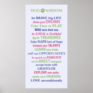 Poster Citation de la sagesse du chien