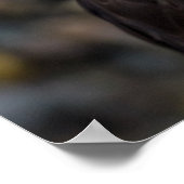 Poster Citation de liberté Eagle Eternal Vigilance (Coin)