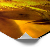 Poster Citation de lion (Coin)