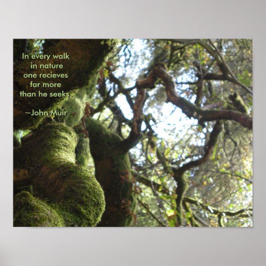 Poster Citation de Live Oaks Muir (Devant)