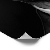 Poster Citation de Mike Ross noir et blanc (Coin)