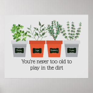 Poster Citation de ne jamais aller à Old Fun Gardening