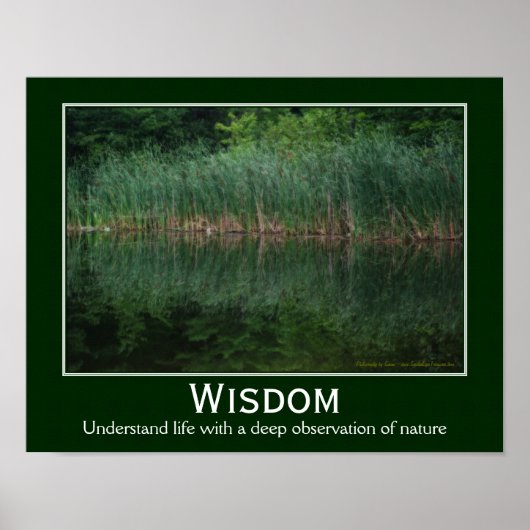Poster Citation De Sagesse Cattées Dans Pond Inspirationa (Devant)