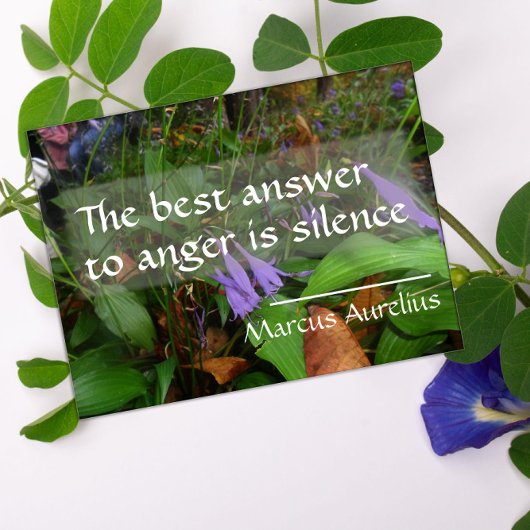 Poster Citation de sagesse latine sur l'affiche de la mei